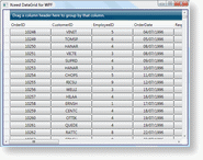 Template_DataCellControlTemplate